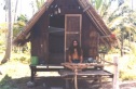 Hippie Bilder