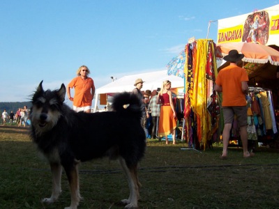 Burg Herzberg Festival 2007