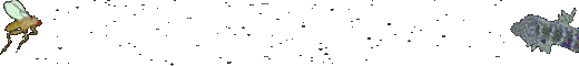 copyright Lightmaster